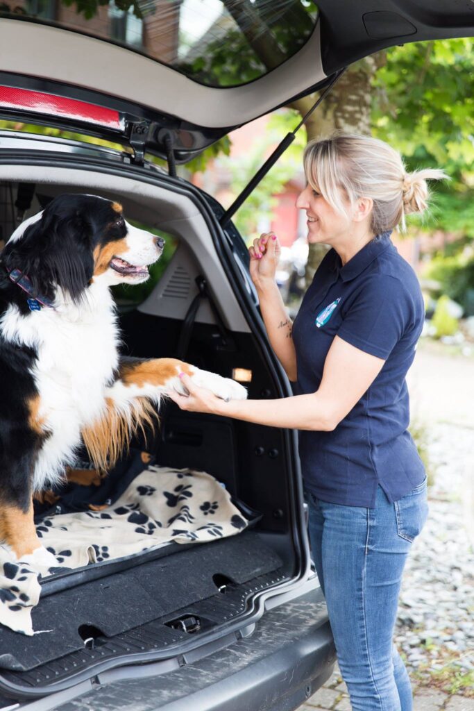 Pets2Places vehicle dog