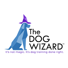 Dog Wizard